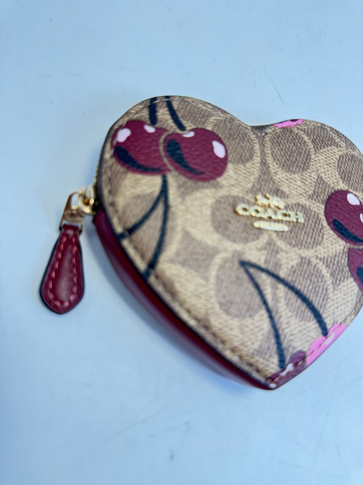 Monedero Coach