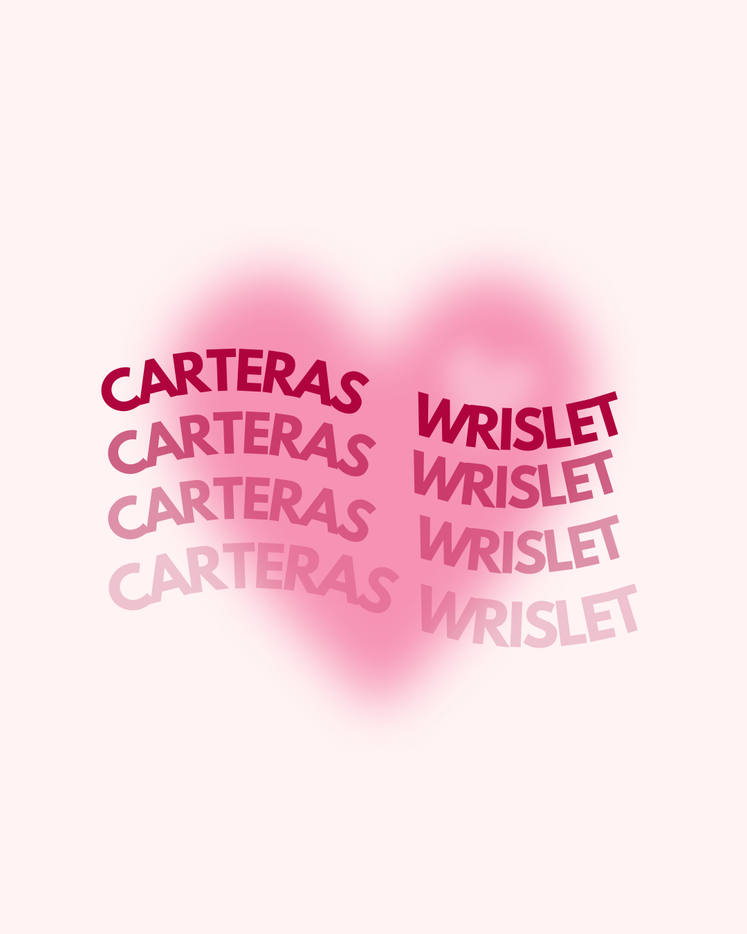 WRISLET Y CARTERAS