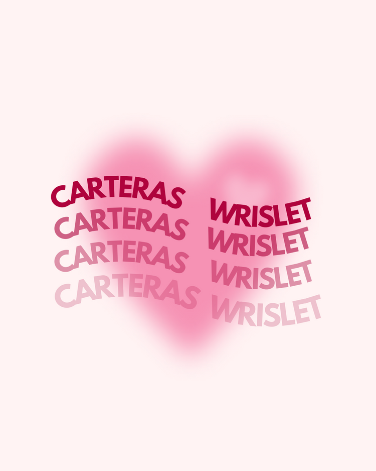 WRISLET Y CARTERAS