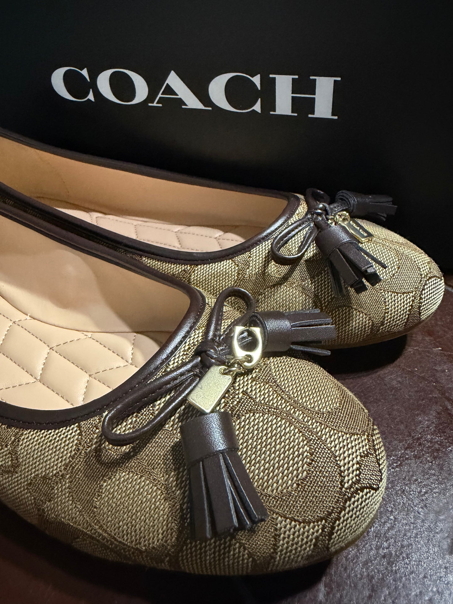 Coach #8.5 usa