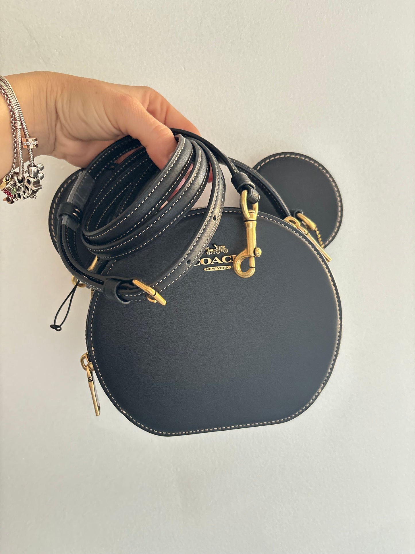 Disney x Coach