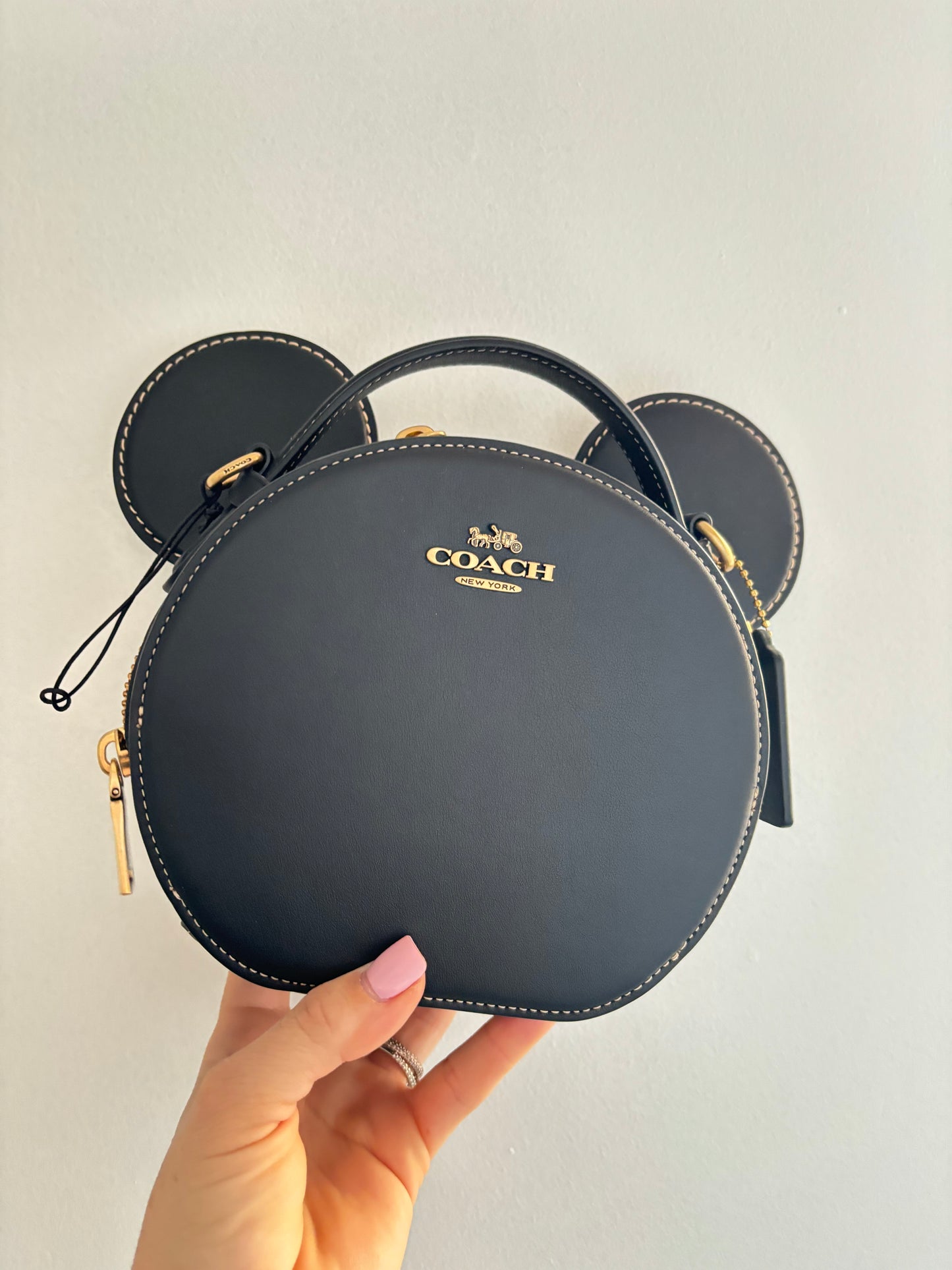 Disney x Coach