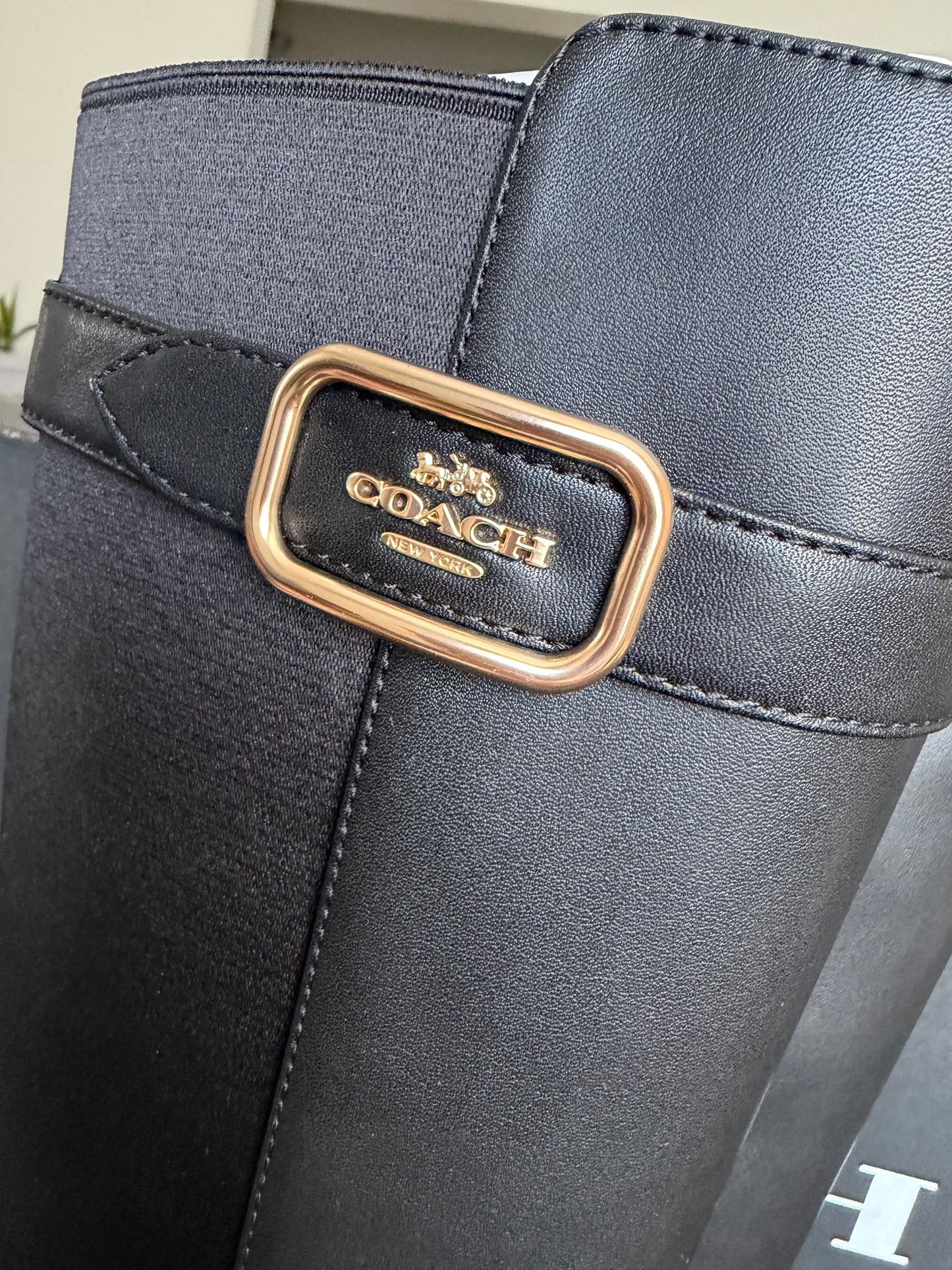 Coach #5.5 USA